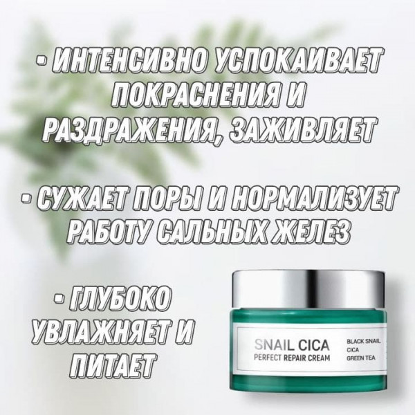 Esthetic House Восстанавливающий крем для лица с центеллой и муцином улитки Snail Cica Perfect Repair Cream (50 мл)