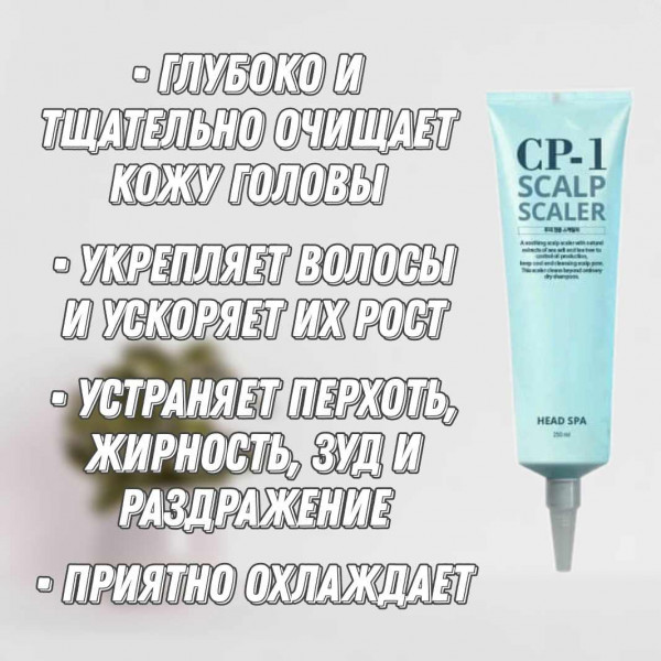 Estethic House CP-1 Средство для глубокого очищения кожи головы Head Spa Scalp Scaler (250 мл)