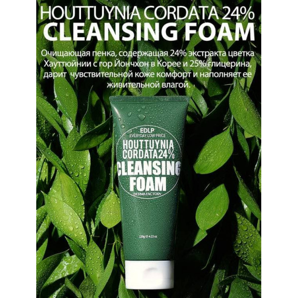 DERMA FACTORY Очищающая пенка для лица с экстрактом цветка хауттюйнии Houttuynia Cordata 24% Cleansing Foam (120 г)