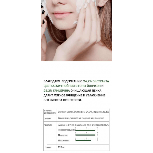 DERMA FACTORY Очищающая пенка для лица с экстрактом цветка хауттюйнии Houttuynia Cordata 24% Cleansing Foam (120 г)