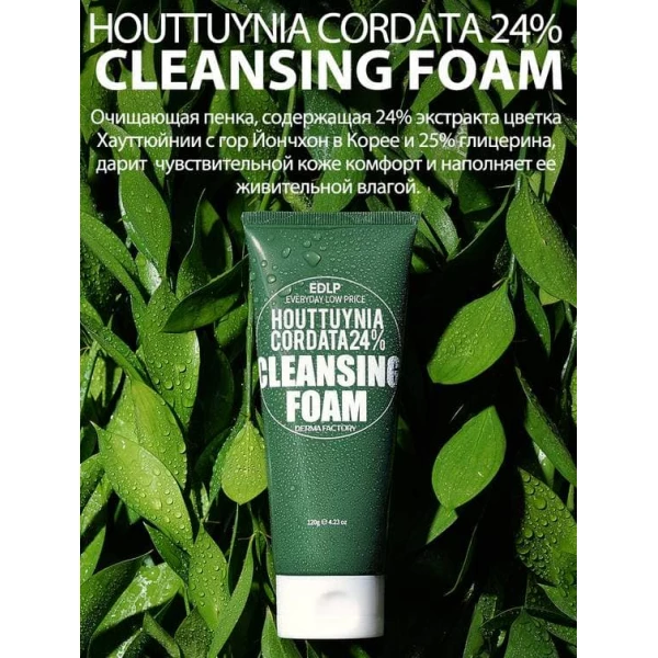 DERMA FACTORY Очищающая пенка для лица с экстрактом цветка хауттюйнии Houttuynia Cordata 24% Cleansing Foam (120 г)